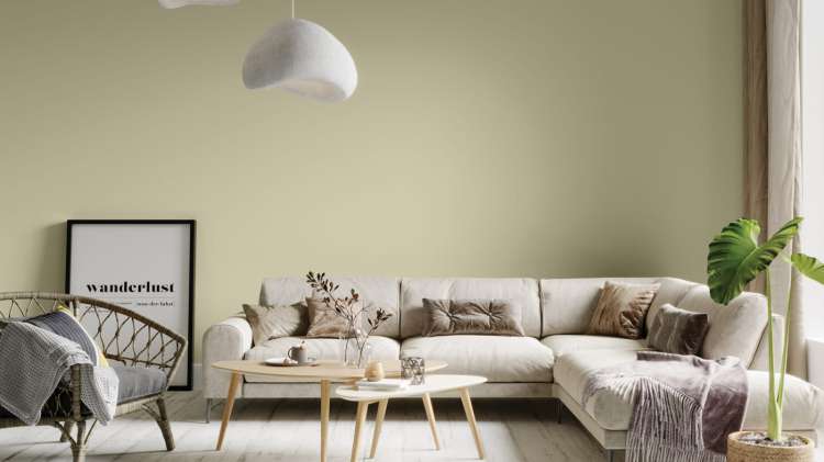 178 olejek szałwiowy_1.jpg