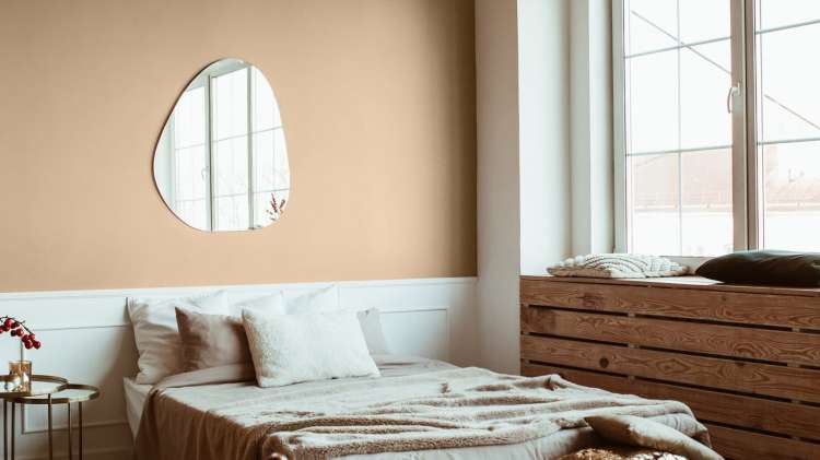 151 kwiat pustyni_4.jpg