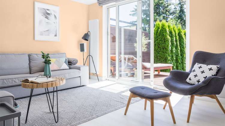 150 herbaciana róża_4.jpg