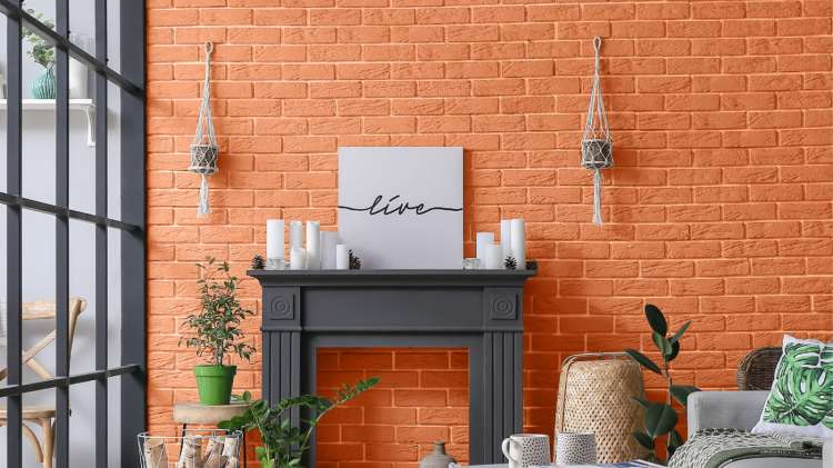 139 Soczysta morela_1.jpg