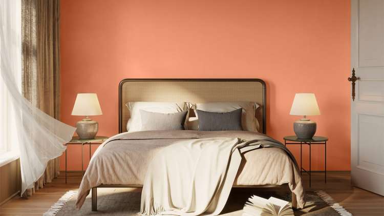 139 Soczysta morela_3.jpg