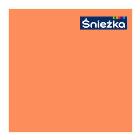 126 pomarańczowy sad_.jpg