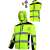 L40919.jpg